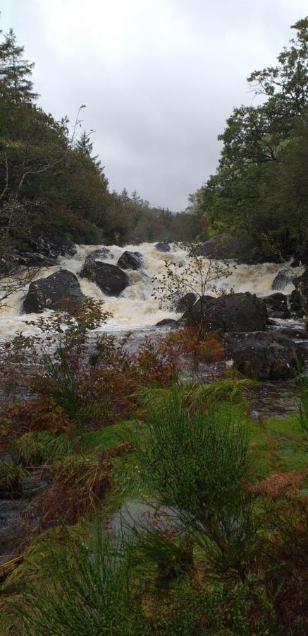 Lios 4* Woodford (Kerry)